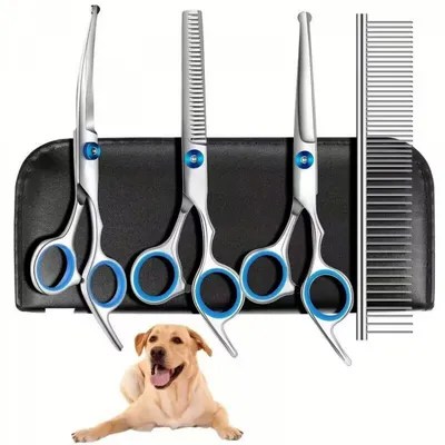 Ciseaux de toilettage pro pour chiens - Pointes rondes de sécurité Ciseaux de toilettage pro pour chiens - Pointes rondes de sécurité