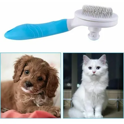 Brosse autonettoyante chats/chiens : retrait des poils morts en 1 clic