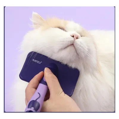 PetTribes Peigne de Toilettage Peigne Courbé pour Animaux PetTribes Peigne de Toilettage Peigne Courbé pour Animaux