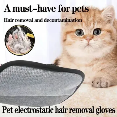 Lot de 3 gants de toilettage : massage & anti-poils pour animaux & tapis Lot de 3 gants de toilettage : massage & anti-poils pour animaux & tapis