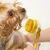 PetTribes Brosse de Toilettage Brosse de Bain pour Animaux PetTribes Brosse de Toilettage Brosse de Bain pour Animaux