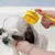 PetTribes Brosse de Toilettage Brosse de Bain pour Animaux PetTribes Brosse de Toilettage Brosse de Bain pour Animaux