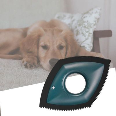 Brosse anti-poils professionnelle : idéal car detailing, canapé & textiles