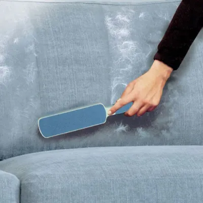 Brosse anti poil Bleu Brosse anti poil Bleu