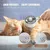 Brosse vapeur chat 4-en-1 : massage antistatique, spray & démêlage Brosse vapeur chat 4-en-1 : massage antistatique, spray & démêlage