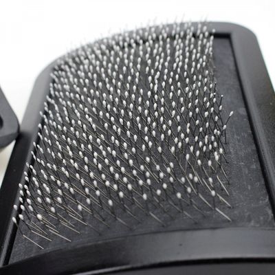 Brosse Carde Progroom Très Grande Taille pour Chien