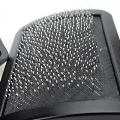Brosse Carde Progroom Très Grande Taille pour Chien Brosse Carde Progroom Très Grande Taille pour Chien
