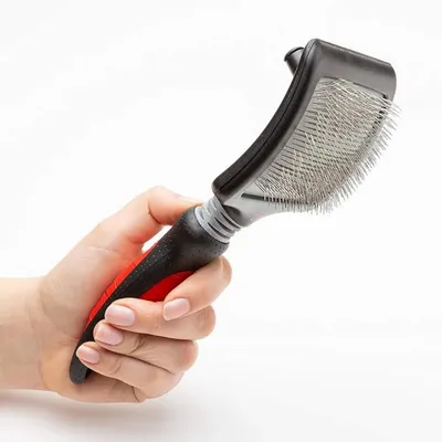 Brosse Carde Progroom Très Grande Taille pour Chien Brosse Carde Progroom Très Grande Taille pour Chien