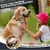 Brosse chien poils longs : réduit 90% de la perte de poils, peigne chat pro Brosse chien poils longs : réduit 90% de la perte de poils, peigne chat pro