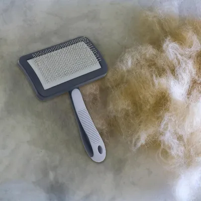 ZooVenture Brosse Toilettage Chien Pelage Doux ZooVenture Brosse Toilettage Chien Pelage Doux