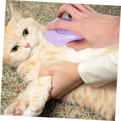 BROSSE À VAPEUR ÉLECTRIQUE POUR CHATS ET ANIMAUX POUR LE SOIN DES POILS BROSSE À VAPEUR ÉLECTRIQUE POUR CHATS ET ANIMAUX POUR LE SOIN DES POILS
