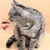 PetTribes Brosse Inox Anti-Static 2 en 1 pour Chien et Chat (2 Pièces) PetTribes Brosse Inox Anti-Static 2 en 1 pour Chien et Chat (2 Pièces)
