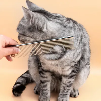 PetTribes Brosse Inox Anti-Static 2 en 1 pour Chien et Chat (2 Pièces) PetTribes Brosse Inox Anti-Static 2 en 1 pour Chien et Chat (2 Pièces)