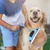 Brosse bleue pour chien & chat : toilettage pro pour poils longs & courts Brosse bleue pour chien & chat : toilettage pro pour poils longs & courts