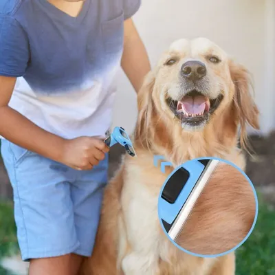 Brosse bleue pour chien & chat : toilettage pro pour poils longs & courts Brosse bleue pour chien & chat : toilettage pro pour poils longs & courts