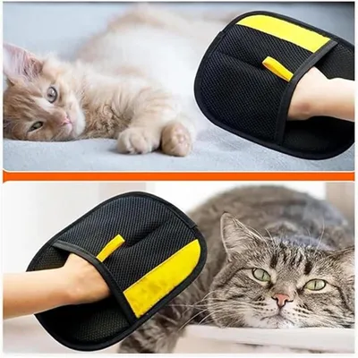 Set de 5 anti-poils : 2 gants de massage + 3 outils pour canapé & tapis