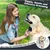 Brosse chien poils longs : réduit 90% de la perte de poils, peigne chat pro Brosse chien poils longs : réduit 90% de la perte de poils, peigne chat pro