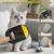 FurryFusion Gant de nettoyage de poils pour animaux de compagnie