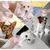 Brosse chien rose avec réservoir : peigne de bain & massage pour tout poil