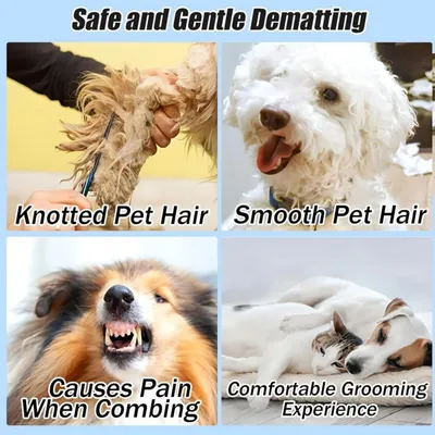 2 peignes de soin chat/chien (bleu/vert) : démêlant et anti-nœuds