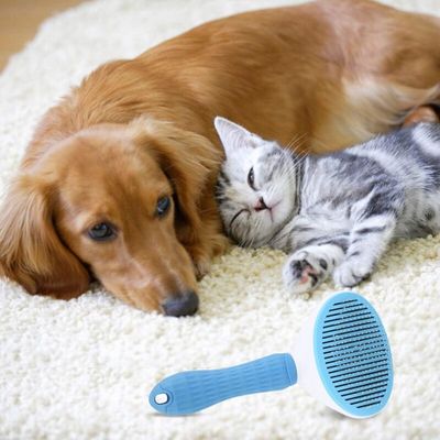 Brosse autonettoyante bleue : peigne lissant pour poils longs & courts