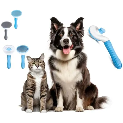 Brosse autonettoyante bleue : peigne lissant pour poils longs & courts
