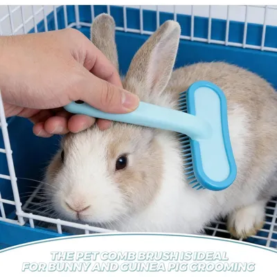 ZooVenture Brosse Lapin Silicone Bleu Antiderapante