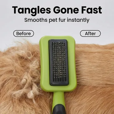 ZooVenture Brosse Epingles Chat Chien Verte ZooVenture Brosse Epingles Chat Chien Verte