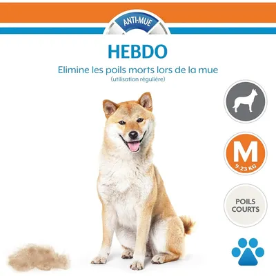 Applicable à FURMINATOR Brosse deshedding chien taille poils courts orange