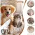 ZooVenture Tondeuse Chat LED Inox Imperméable ZooVenture Tondeuse Chat LED Inox Imperméable
