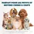 PetTribes Sèche-Chien 2-en-1 Brosse Silencieuse <65dB (370g) PetTribes Sèche-Chien 2-en-1 Brosse Silencieuse <65dB (370g)