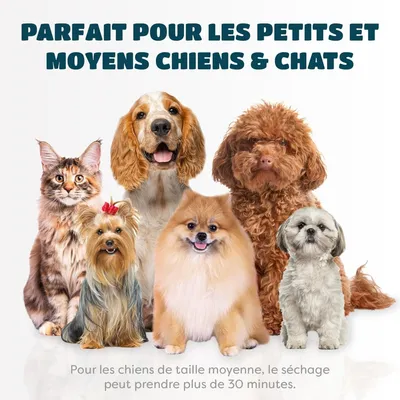 PetTribes Sèche-Chien 2-en-1 Brosse Silencieuse <65dB (370g) PetTribes Sèche-Chien 2-en-1 Brosse Silencieuse <65dB (370g)