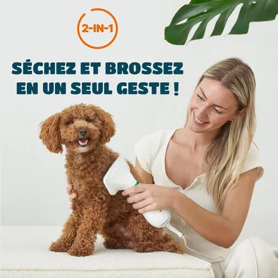 PetTribes Sèche-Chien 2-en-1 Brosse Silencieuse <65dB (370g) PetTribes Sèche-Chien 2-en-1 Brosse Silencieuse <65dB (370g)