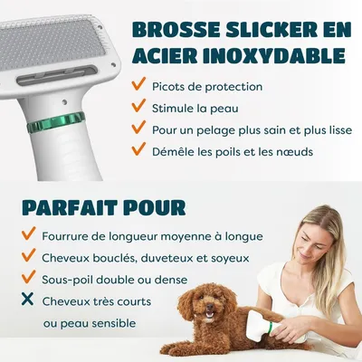 PetTribes Sèche-Chien 2-en-1 Brosse Silencieuse <65dB (370g) PetTribes Sèche-Chien 2-en-1 Brosse Silencieuse <65dB (370g)