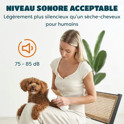 PetTribes Sèche-Chien 2-en-1 Brosse Silencieuse <65dB (370g) PetTribes Sèche-Chien 2-en-1 Brosse Silencieuse <65dB (370g)
