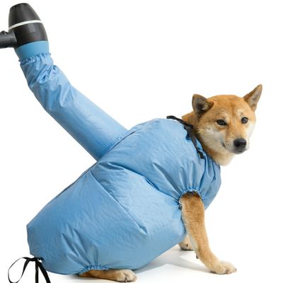PetTribes Manteau de Séchage pour Chien Dry Coat