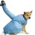 PetTribes Manteau de Séchage pour Chien Dry Coat PetTribes Manteau de Séchage pour Chien Dry Coat