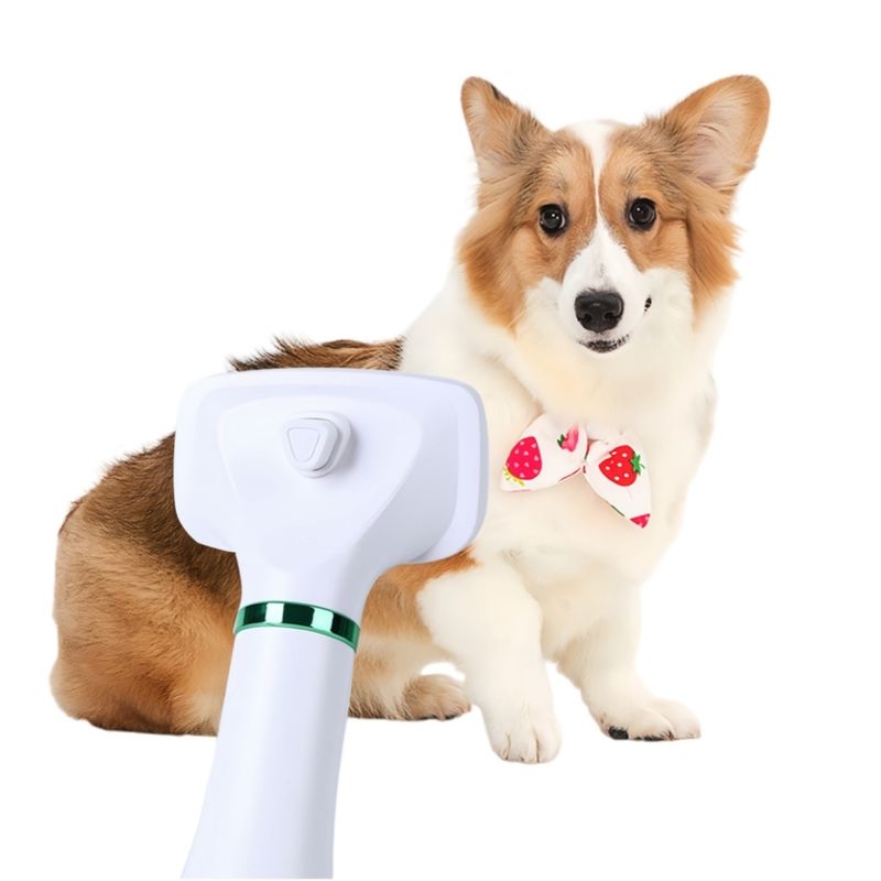 FurryFusion Peigne sèche-cheveux pour animaux de compagnie
