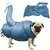 Zoomtopia Sac séchage chien chat 360° taille grand accessoire toilettage Zoomtopia Sac séchage chien chat 360° taille grand accessoire toilettage