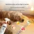 HausPets Spray déodorant pour animaux de compagnie HausPets Spray déodorant pour animaux de compagnie