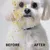PetTribes Gants Nettoyants Animaux Lot de 12 Sans Parfum PetTribes Gants Nettoyants Animaux Lot de 12 Sans Parfum
