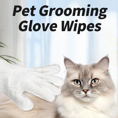 PetTribes Gants Nettoyants Animaux Lot de 12 Sans Parfum