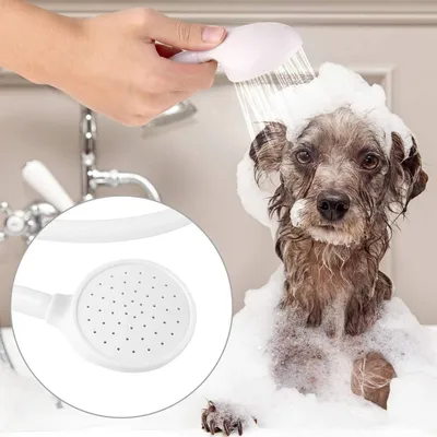 HausPets Bouteille de douche pour chiens et chats HausPets Bouteille de douche pour chiens et chats