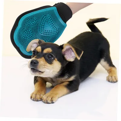 FurryFusion Gant de toilettage double - face pour chien FurryFusion Gant de toilettage double - face pour chien