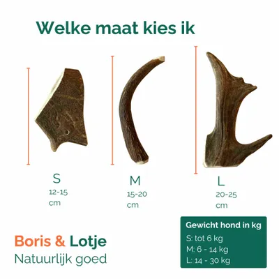 Bois de cerf daim friandise chien 100 % naturel S (12–15 cm) - par pièce Bois de cerf daim friandise chien 100 % naturel S (12–15 cm) - par pièce