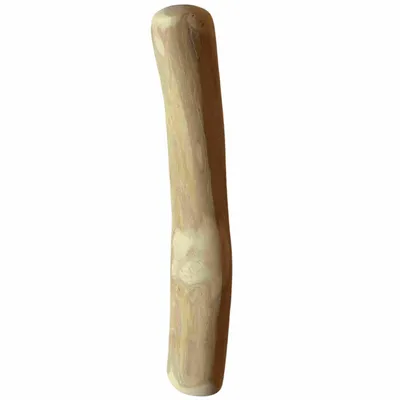Racine de caféier Saule Oiseau S (13–15 cm) - Par unité