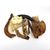 Coffret Friandises