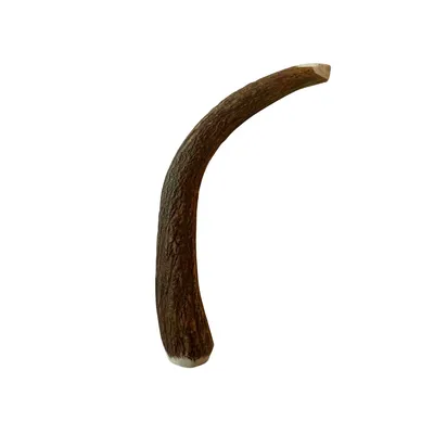 Bois de cerf daim friandise chien 100 % naturel M (15–20 cm) Bois de cerf daim friandise chien 100 % naturel M (15–20 cm)