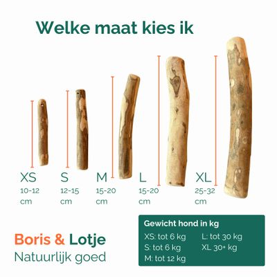 Bois d’olivier bâton à mâcher chien 100 % naturel XS (10–12 cm) - par pièce