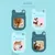 FurryFusion Balm pour les pattes de animaux de compagnie FurryFusion Balm pour les pattes de animaux de compagnie